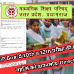 Up board exam 2024